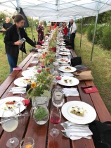 Dietetyczna Pani Domu